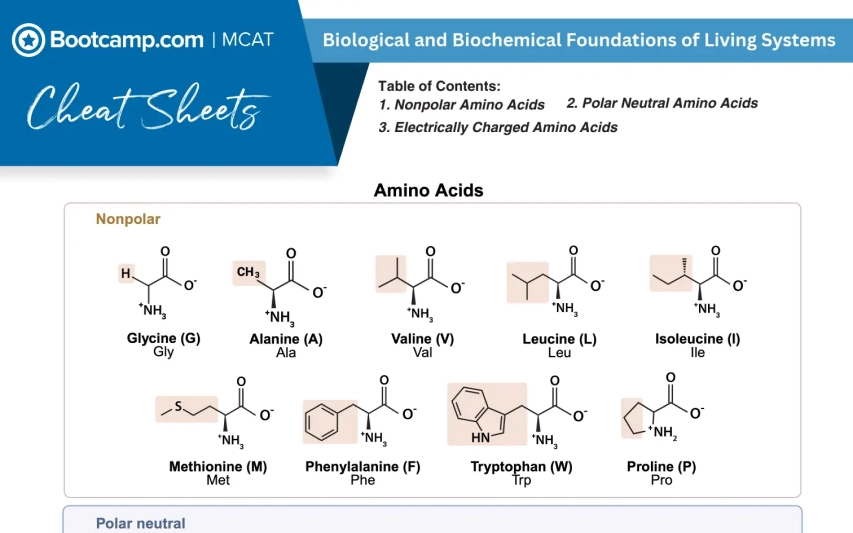 MCAT Cheat Sheets by Bootcamp.com showing nonpolar amino acids with their chemical structures, full names, and abbreviations including glycine, alanine, valine, leucine, isoleucine, methionine, phenylalanine, tryptophan, and proline.