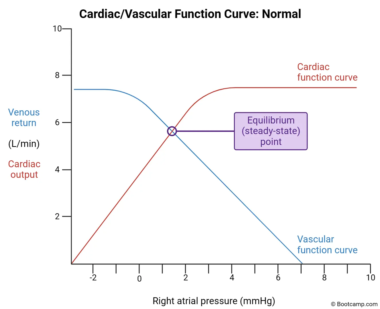 Cardiac/Vascular Function Curve Normal