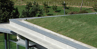 Membrane roof
