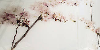 Glass feature wall in bathroom with Japanese blossom tree photograph