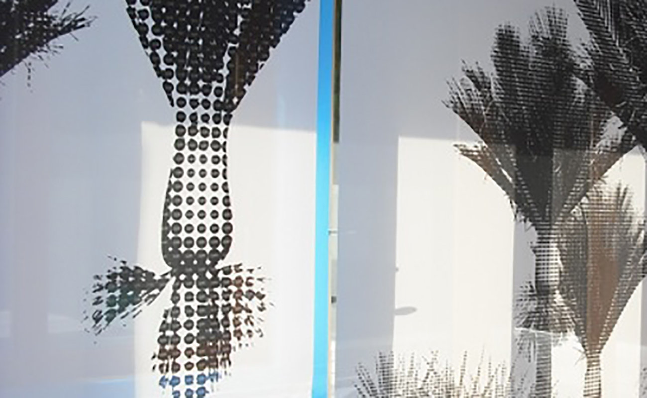 Printed shades window dressing option