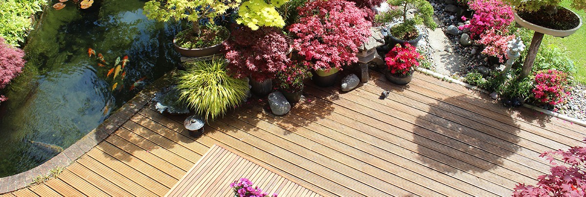 an outdoor landscape design