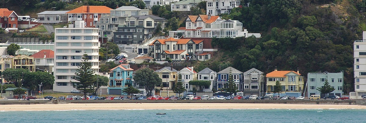 The diverse mix of house styles from various eras found in Wellington, built along a hill next to the bay