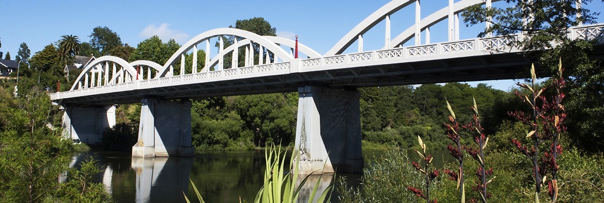 A steel bridge serving as a river crossing for Hamilton residents in New Zealand.