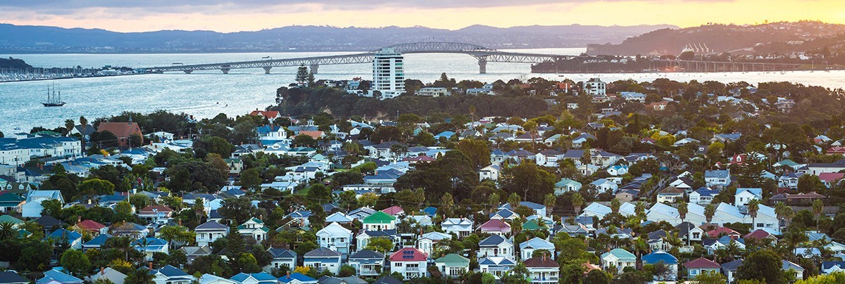 Skyline of Auckland housing.