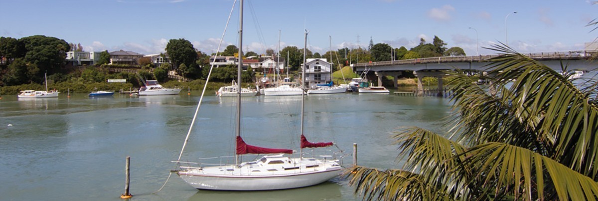 A river view in a property in Panmure
