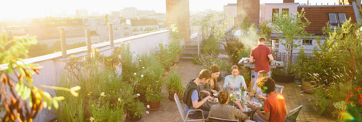 rooftop renovation