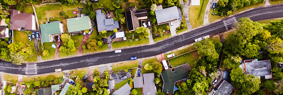 West Auckland winding road