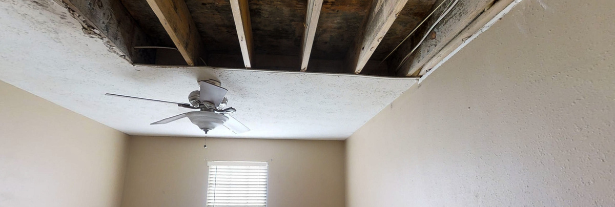 Ceiling damage