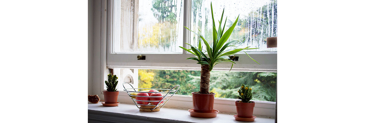 humid homes refresh renovations ventilation