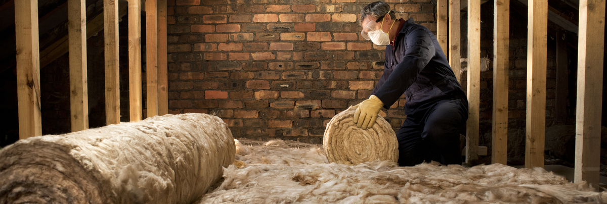 Ceiling insulation