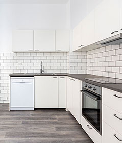 apartment kitchen renovation in Potts Point