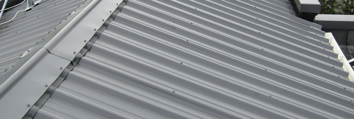 Skylight roof replacement on ponsonby home
