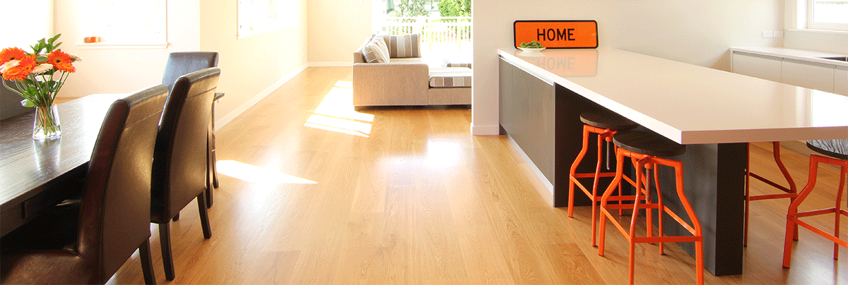 Modern home extension with open plan kitchen, dining and living room.