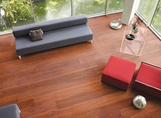 Wooden floor with red and grey sofa