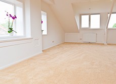 Neutral coloured carpet in living room