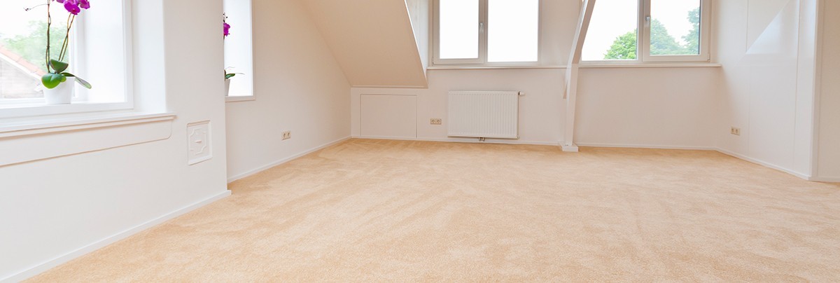 Neutral coloured carpet in living room