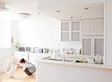 Cat friendly home