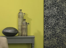 Bold and beautiful renovate magazine