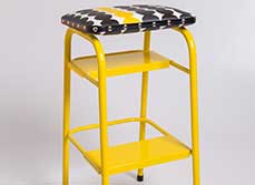 Everybody's stool