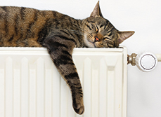 Cat laying on top of retrofitted radiator