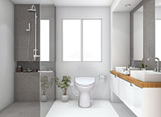 Saniflo bathroom