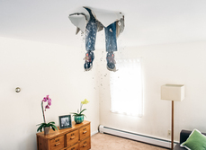 Why you should hire a renovation project manager