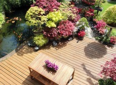 an outdoor landscape design