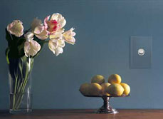 Dress up your walls with Resene.
