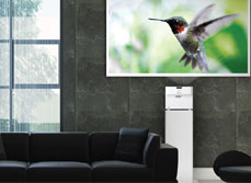 Ricoh Ultra Short Throw Projector in modern spacious living room