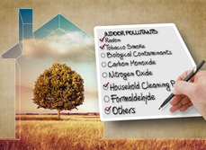 Indoor air pollution checklist