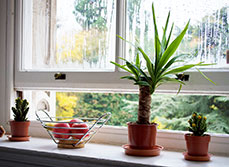 humid homes refresh renovations ventilation