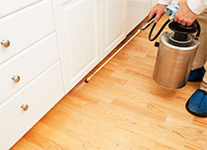 Pest management