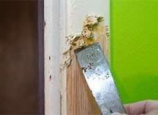 Paint stripper