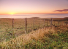 Franklin sunset on a farm overlooking the sea