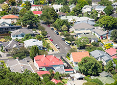 West Auckland winding road