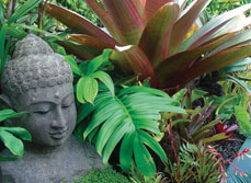 Hillside Harmony, Landscape, Outdoor Renovation