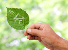 A leaf showing a home energy symbol