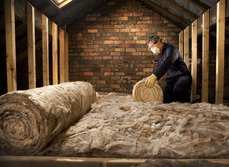 Ceiling insulation