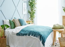 A cool blue bedroom with plenty of light and plants