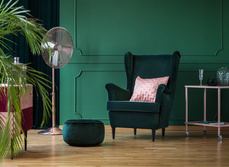 Green, top interior trend for 2022