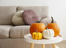 A table of pumpkins in a living room