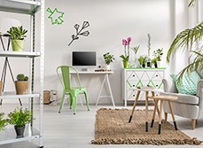A room that looks like a garden