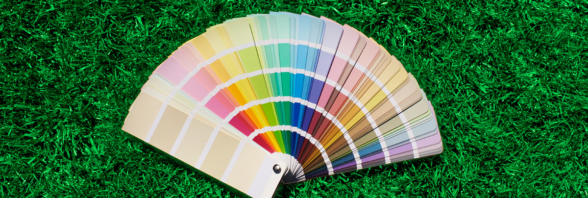 home wall colour wheel