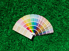 home wall colour wheel
