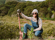 Million Meters Wellington Planting Day