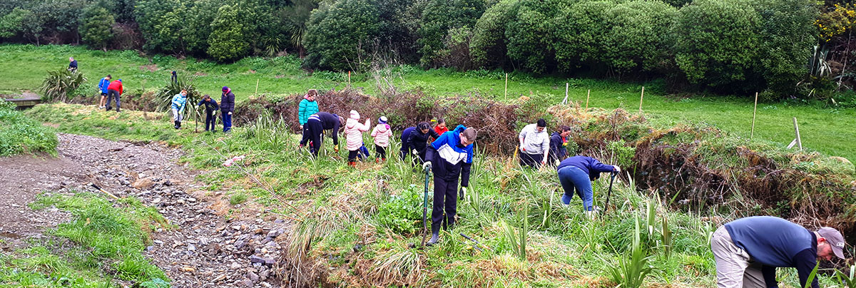 Million Meters Wellington Planting Day