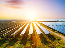 Solar panels combatting climate change
