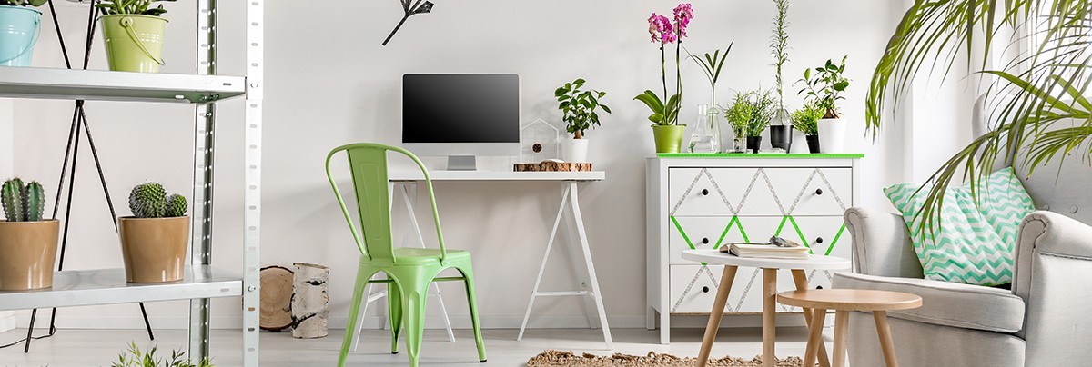 A room that looks like a garden