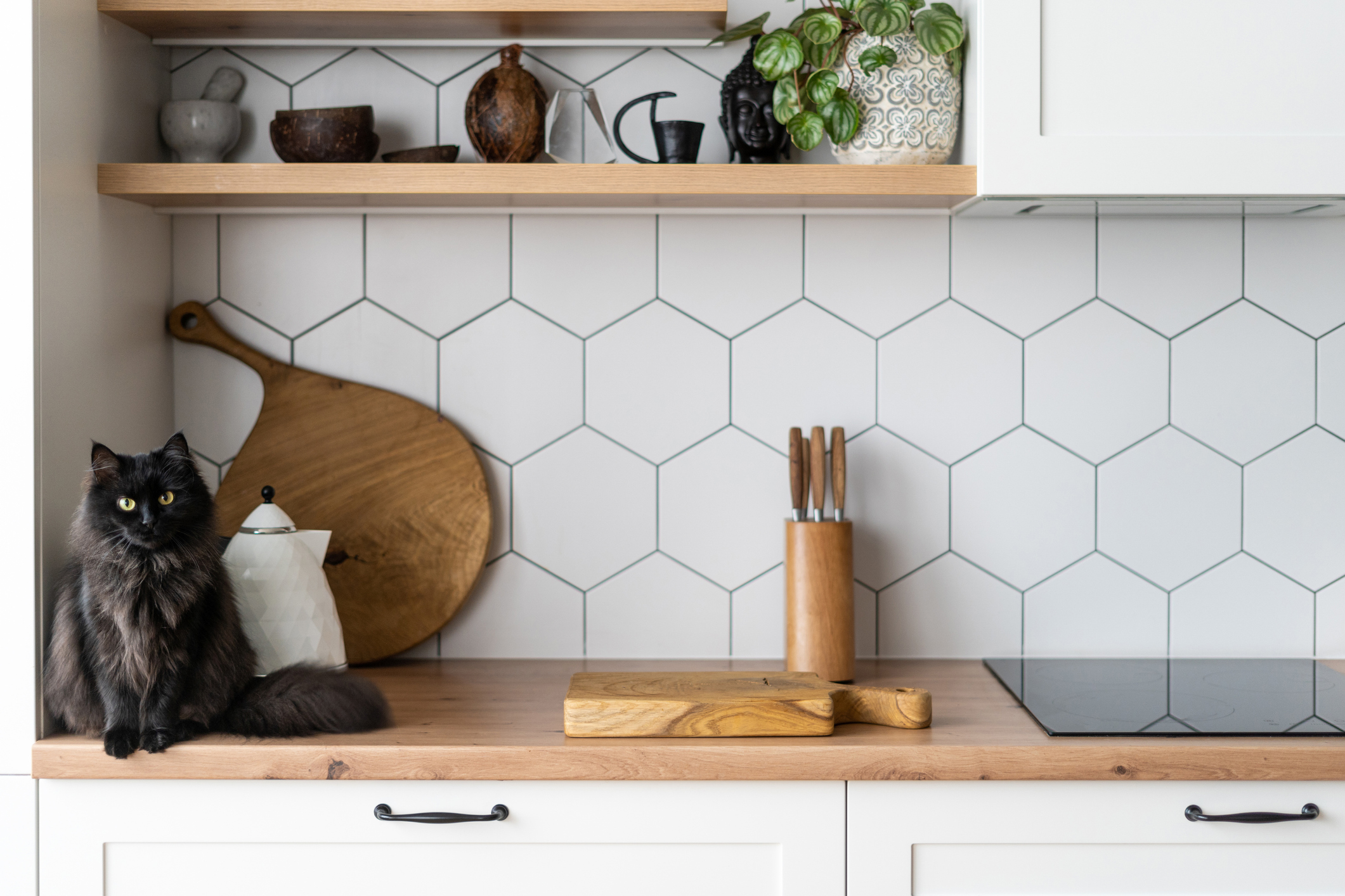 Kitchen with hexagonal tiling